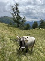 Aufstieg zur Oberen Gostalm