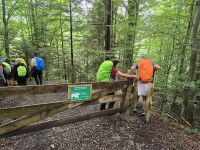 Weidendurchgang auf dem Weg nach Rottach-Egern