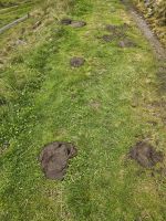 Wanderung auf dem Höhenweg nach Hochfügen - hier mal ein 