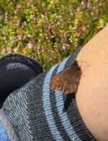 Wanderung von Hochfügen zur Rastkogelhütte