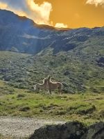 Wanderung zur Pfitscherjochhaus