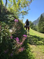 Wanderung von St. Jakob nach Sterzing