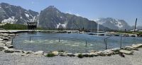Ahornsee lädt zum Wassertreten ein