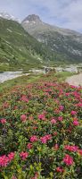Aufstieg im Zamser Grund