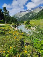Bach Zamser Grund