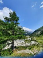 Bach Zamser Grund
