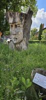 Bad Wiessee, Kettensägen  Skulptur