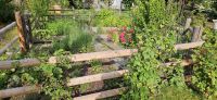 Bauerngarten am Hotel Kohlerhof
