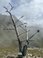 Baum der Träume am Timmelsjoch