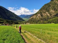 Blick auf Wiesen im Pfitschtal
