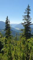 Blick zum Achensee