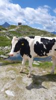Blick zum Pfitscher Joch Haus in Italien