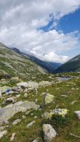 Blick zurück nach Österreich