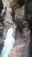 IMG-20240822-WA0015.jpg