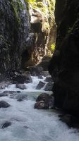 IMG-20240823-WA0005.jpg