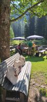 IMG-20240824-WA0001.jpg