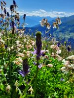 Impressionen