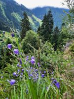 Impressionen