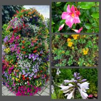 Impressionen