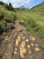 Matschiger Abstieg zum Hahntennjoch