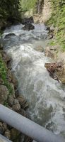 Pfitschbach in der Schlucht