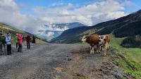 Wanderung nach Hochfügen