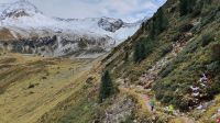Wanderung von der Edelhütte zurück