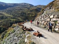 Weg zum Sidanjoch