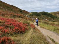 Weg zur Edelhütte