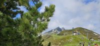 Zirbe, Kellerjoch und Onkeljoch