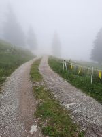 nur Nebel