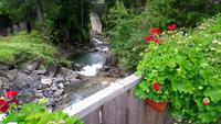 Gebirgsfluss Damüls