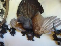...  und Sammler der Jagdtrophäen.