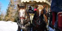 ..mitten hinein in eine traumhafte Winterlandschaft 