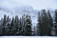 005 Abtenau, Winterlandschaft am Tennengebirge