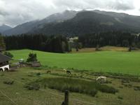 0227Rückweg von Kitzbühel.