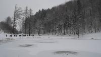 054 Golling, Egelsee
