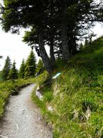 Panoramawanderung auf der Schmittenhöhe