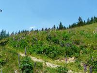 Wanderung zur Schwalbenwand