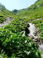 Wanderung zur Fürthermoaralm