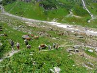 Wanderung zur Fürthermoaralm