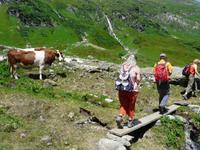 Wanderung zur Fürthermoaralm