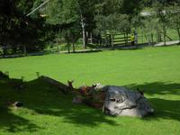 Im Wildpark Ferleiten
