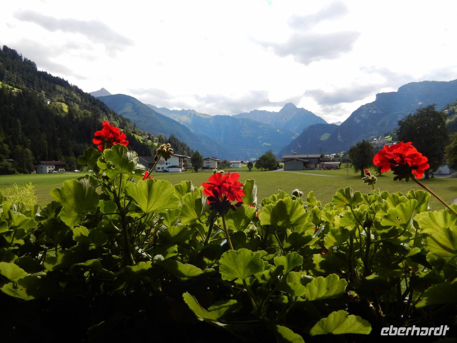Ausblick vom Museum nach Mayerhofen