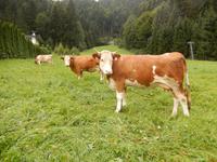 Verwunderung macht sich breit