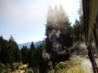 Dampf der Lokomotive