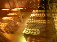 Sennerei in Mayerhofen