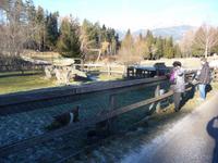 Auf dem Wolfsberg zwischen Seeboden und Spittal.