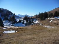 Kein Schnee   -   so gut wie kein Schnee!