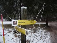 Auch hier wenig Schnee   -   aber immerhin ...